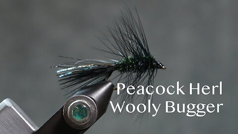 Peacock Herl Wooly Bugger (Fling & Puterbaugh 29/30)
