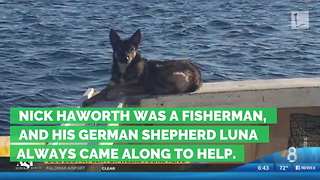 5 Weeks After Dog Jumps Overboard, Grieving Family Gets Call That Leaves Them At Loss For Words