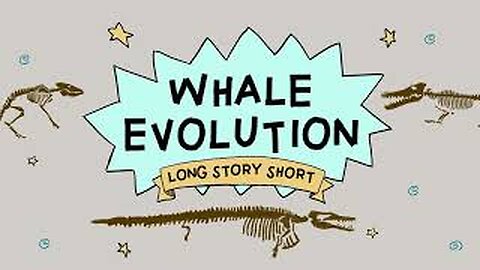 Whale Evolution: Good Evidence for Darwin? (Long Story Short, Ep. 2)