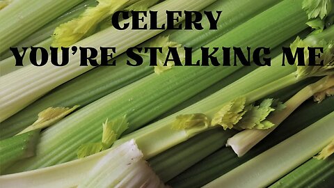 Celery - You're Stalking Me
