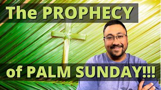 PALM SUNDAY is all about BIBLE PROPHECY!!!