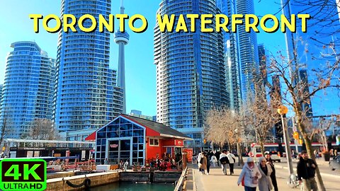 【4K】Toronto Waterfront beautiful sunny day Canada 🇨🇦