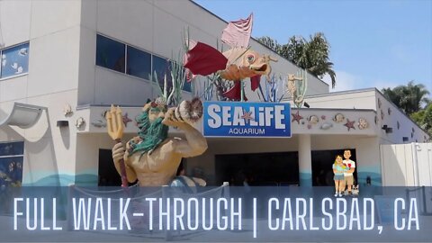 Legoland Sea Life California Complete Walk-Through | Carlsbad California
