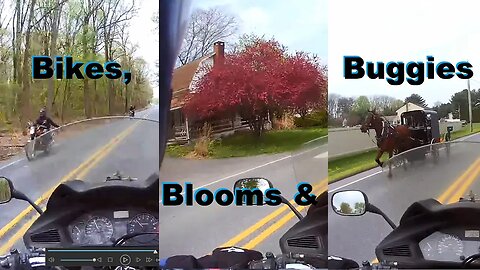 Day 214/365 Lancaster Pennsylvania Motorcycle ride, Bikes, Barns, Buggies, and Blooms.