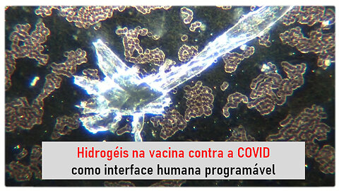 Hidrogéis na vacina contra a COVID como interface humana programável