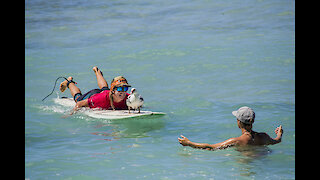 Dog with cancer surfs at Duke's OceanFest