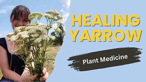Healing with YARROW | Herbal Medicine for Beginners