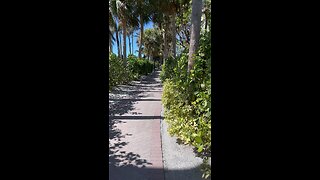 South Beach Marco Island, FL #beachwalk