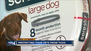 Protect your pets from ticks