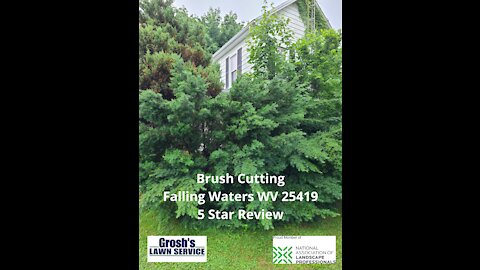 Brush Cutting Falling Waters WV Review 5 Star Video