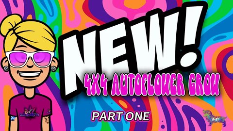 NEW 4X4 Autoflower Grow! #1