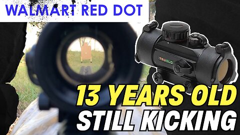 Can this 13 year old Walmart Red Dot Still hold up?