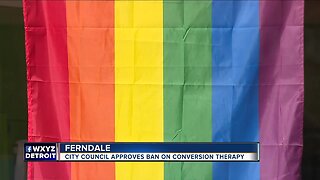 Ferndale bans conversion therapy, classifies it as a misdemeanor