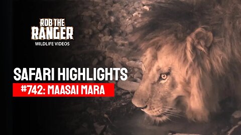 Safari Highlights #742: 03 & 04 January 2023 | Lalashe Maasai Mara | Latest Wildlife Sightings