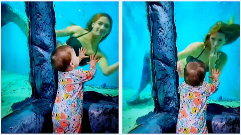 Priceless kids reaction when meeting a real life mermaid