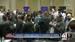 Cannabis career fair attracts hundreds