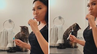 Cat And Owner Enjoy Brushing Their Teeth Together