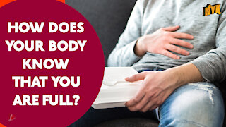 How Does Your Body Knows That's You're Full *