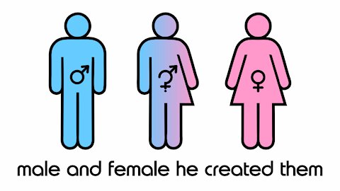Male and Female He Created Them - A Study with OneSource Ministries