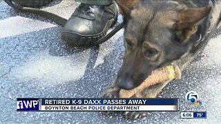 Retired Boynton Beach police K-9 passes away