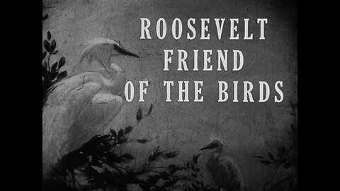 Theodore Roosevelt, Friend Of The Birds (1924 Original Black & White Film)