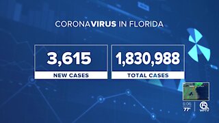 COVID cases drop to their lowest in months