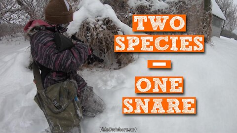 S2:E3 Mink in a Rabbit Snare Plus a Tragic Surprise | Kids Outdoors