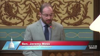 Michigan Senate recognizes June as Pride Month for the first time in its history