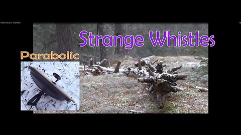 My Bigfoot Story Ep. 227 - Strange Whistle