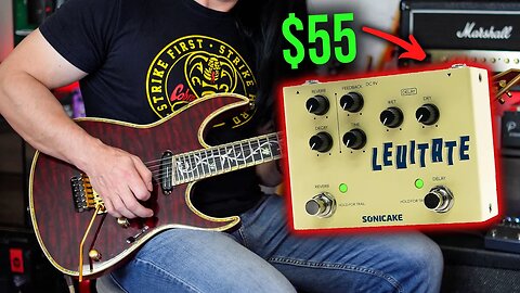 DELAY & REVERB - 2 FOR 1 Pedal Gives You Instant Guitar Atmosphere