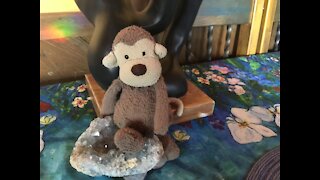 Monkey and Me Episode #3: Talk with Higher Order Beings