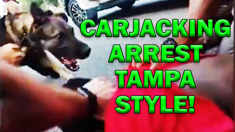 Tampa Carjacker Breathtaking Capture On Video! LEO Round Table S07E35c