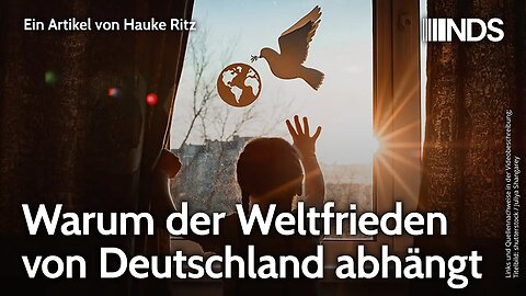 Warum der Weltfrieden von Deutschland abhängt | Hauke Ritz | NDS-Podcast