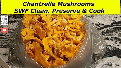 SWF Chantrelle Mushrooms Clean Preserve & Cook