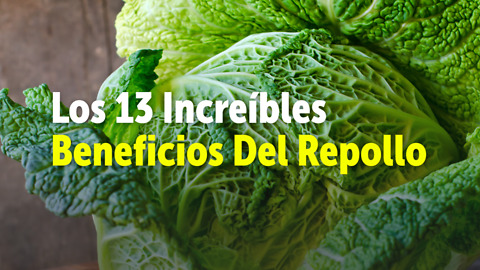 Los 13 Increíbles Beneficios Del Repollo