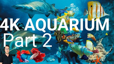 Busan South Korea || Big Aquarium || Fish || Relaxation Video || Adnan in Korea