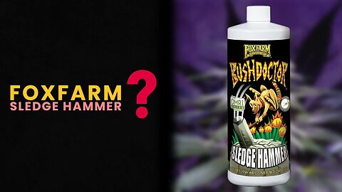 Should You Use FoxFarm Sledgehammer ?