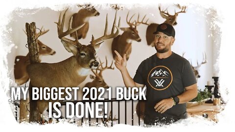 Taxidermy PICKUP! My BIGGEST 2021 Buck Is Done!