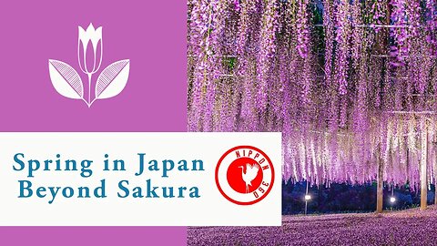 Spring in Japan beyond Sakura - 5 Flower Parks in Japan