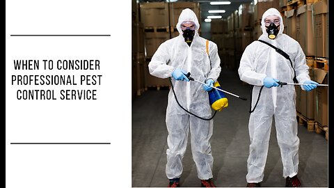 When To Consider Professional Pest Control Service