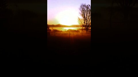 Beautiful Michigan Farm Sunrise #shorts