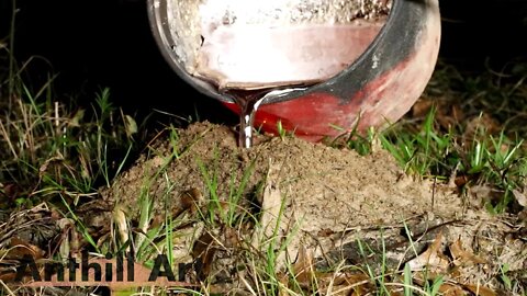 Casting a Fire Ant Colony Built Around a Log with Molten Aluminum (Cast #116)