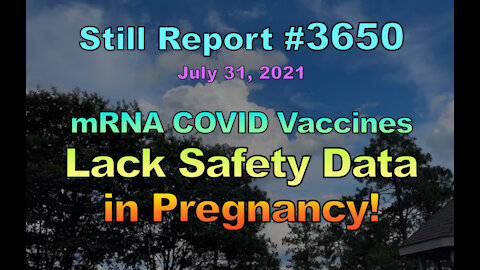 mRNA COVID Vaccines Lack Safety Data in Pregnancy!, 3650