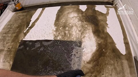 This Is How Many Steps It REALLY Takes To Clean A Dirty Rug
