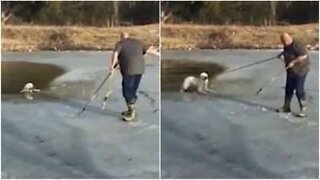 Smart dog bites onto rope to get free of frozen lake