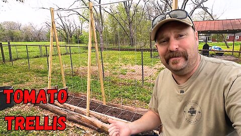 Overcoming Mistakes and Building New Tomato Trellis