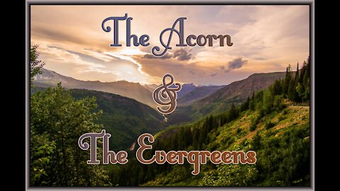 The Acorn and the Evergreens - An Autistic Child's Story