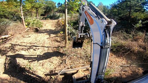 Oddly satisfying.. The ART of clearing land with a mini excavator-Yes it can be done!