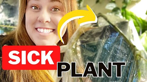 Unbelievable Trick To Bring Back Any Dying Plant!