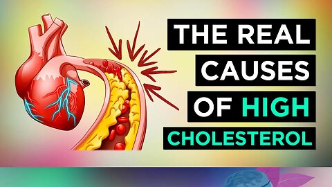 The REAL Causes of HIGH CHOLESTEROL